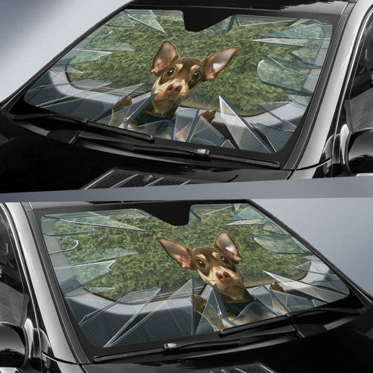 Brown chihuahua Auto Sun Shade